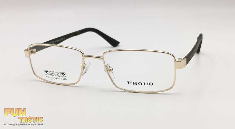 Мужские очки Proud P68012 C4