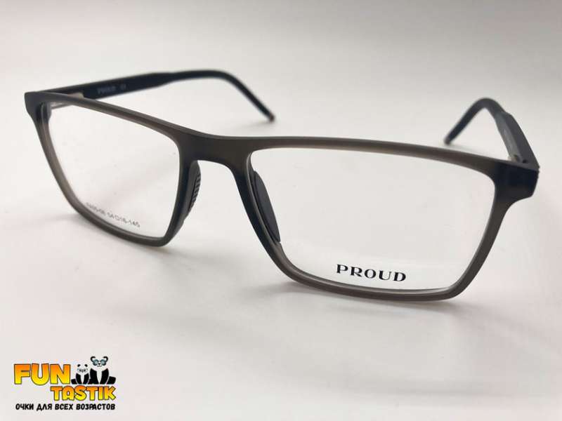Мужские очки Proud FA05-08 C02