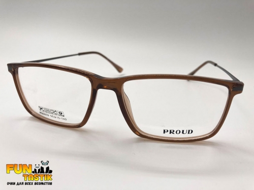 Мужские очки Proud P65059 C3